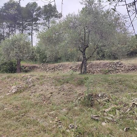 Auberge Des Esperels Rez De Maison Avec Jardin Figanières Εξωτερικό φωτογραφία