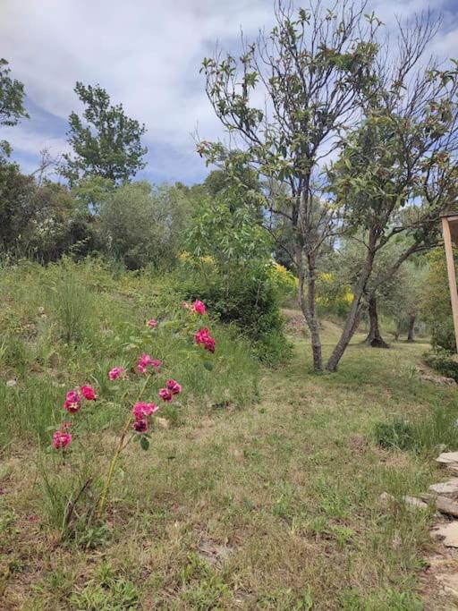 Auberge Des Esperels Rez De Maison Avec Jardin Figanières Εξωτερικό φωτογραφία